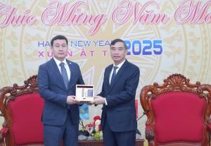 Hình nhỏ