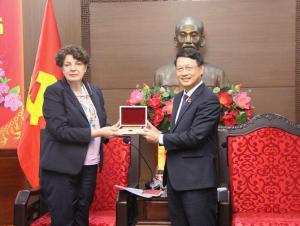 Hình nhỏ