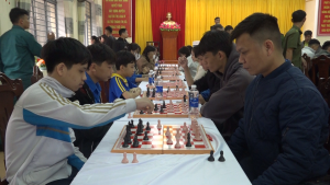 Hình nhỏ