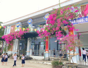 Hình nhỏ