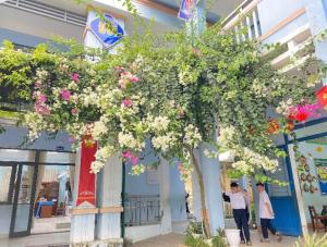 Hình nhỏ