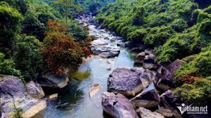 Hình nhỏ