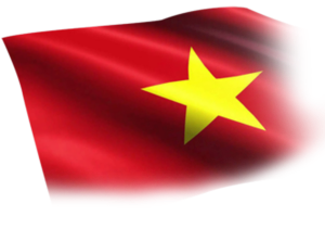Hình nhỏ