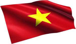 Hình nhỏ