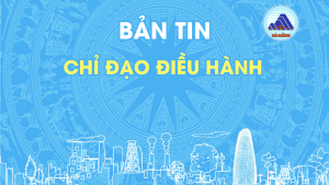 Hình nhỏ