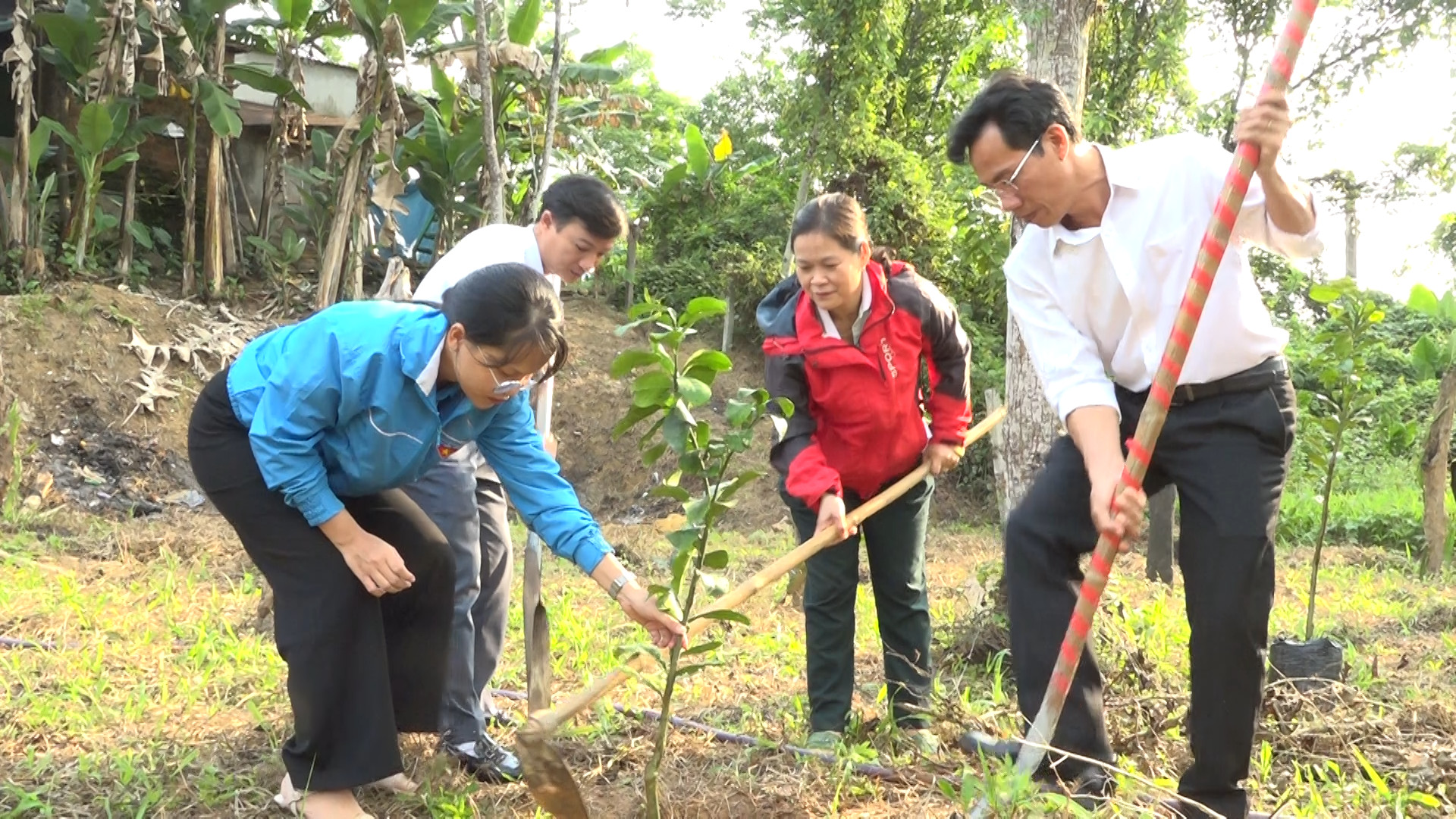 Hình nhỏ