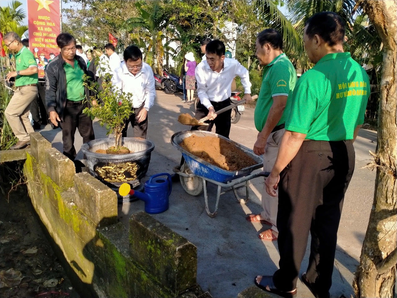 Hình nhỏ