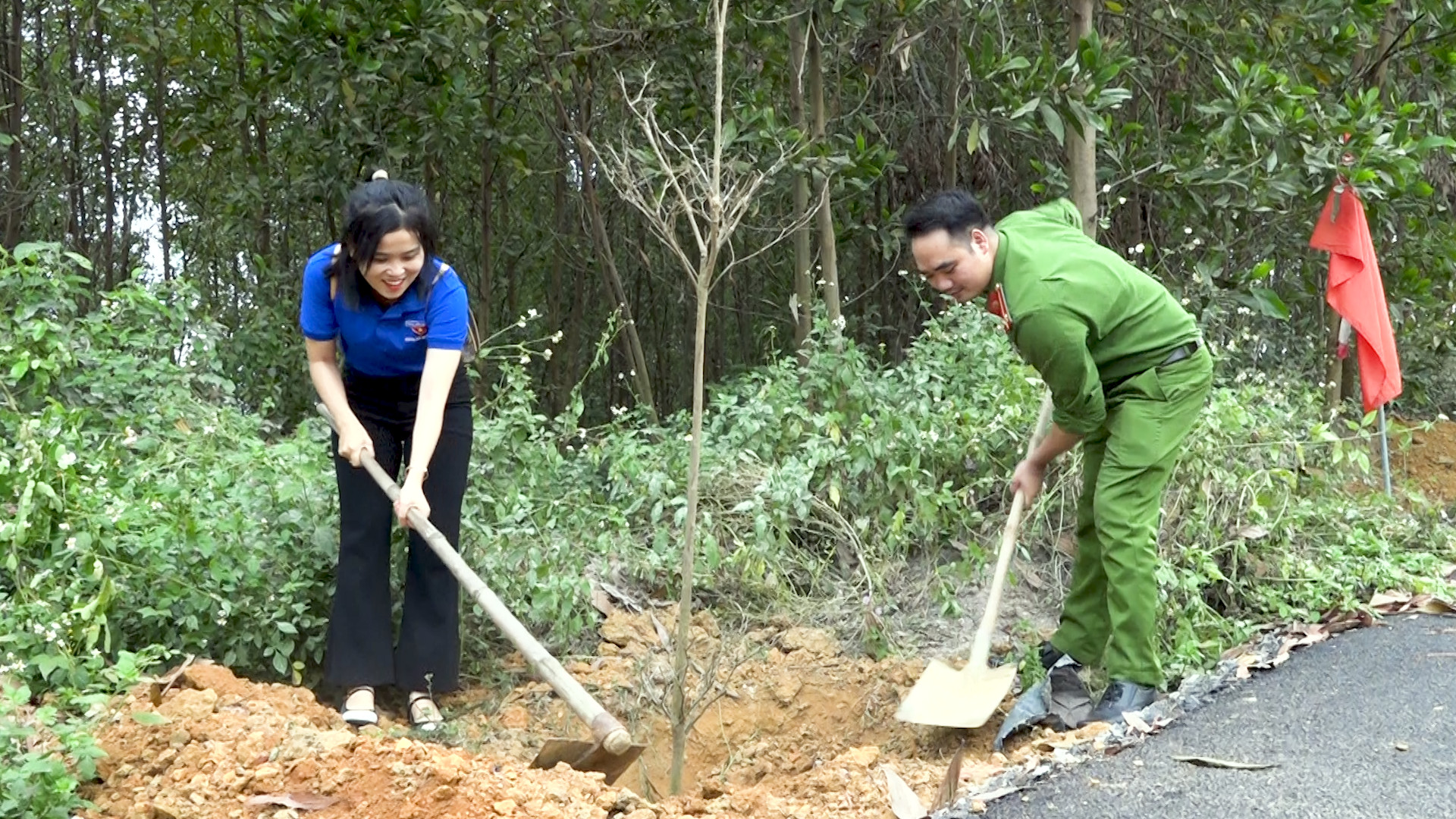 Hình nhỏ