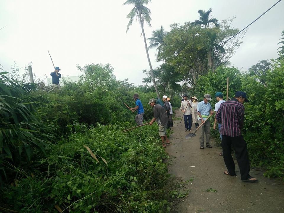Hình nhỏ