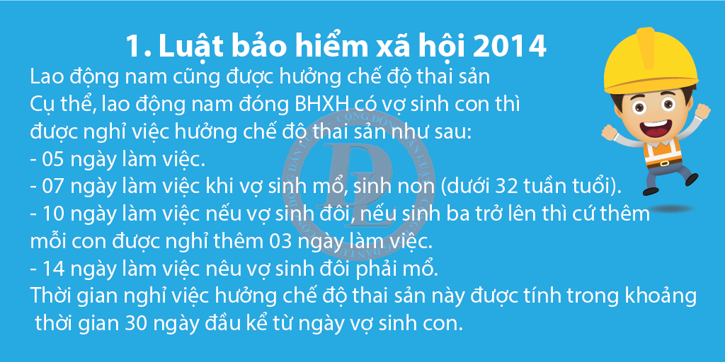Hình nhỏ