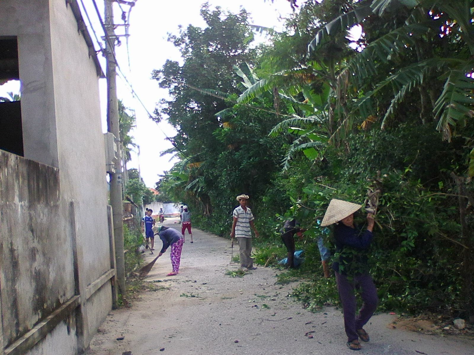 Hình nhỏ