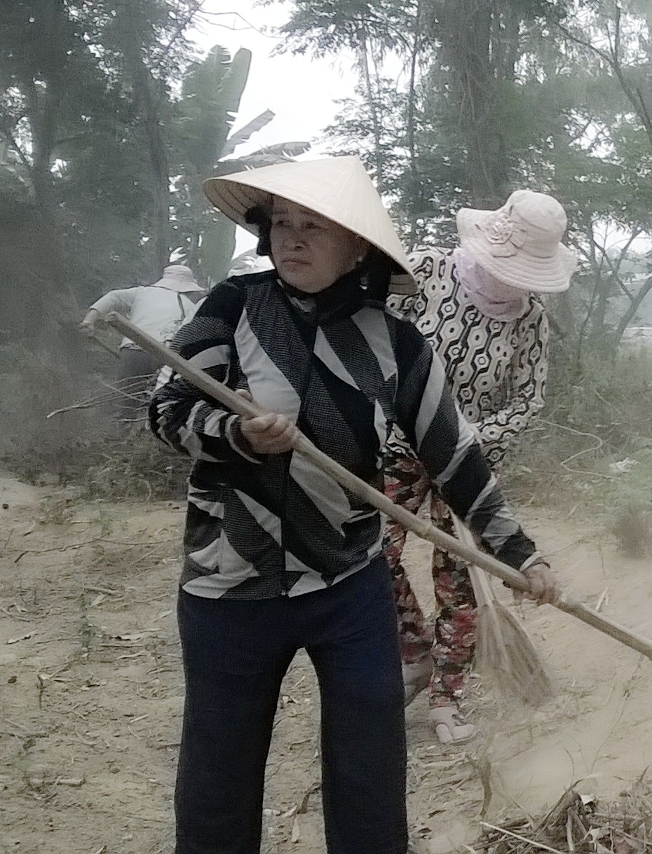Hình nhỏ