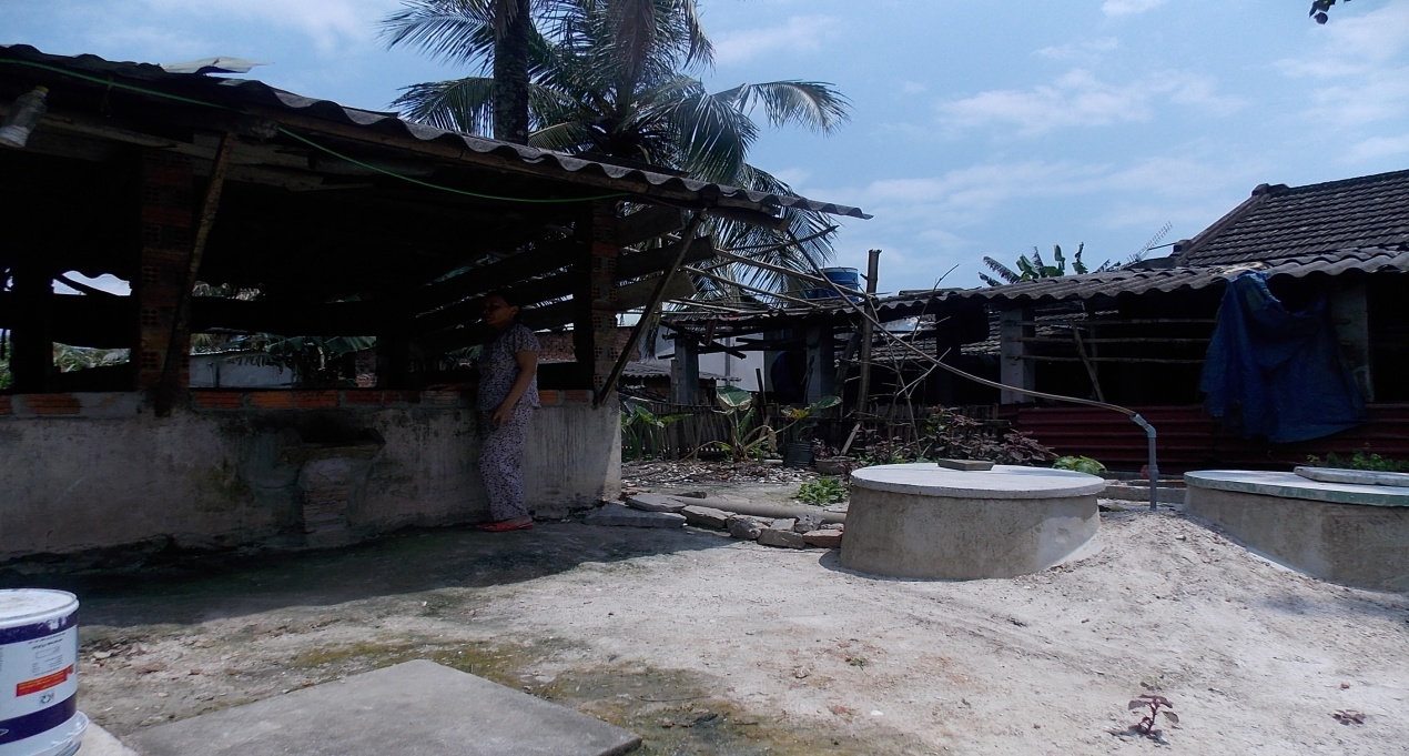 Hình nhỏ