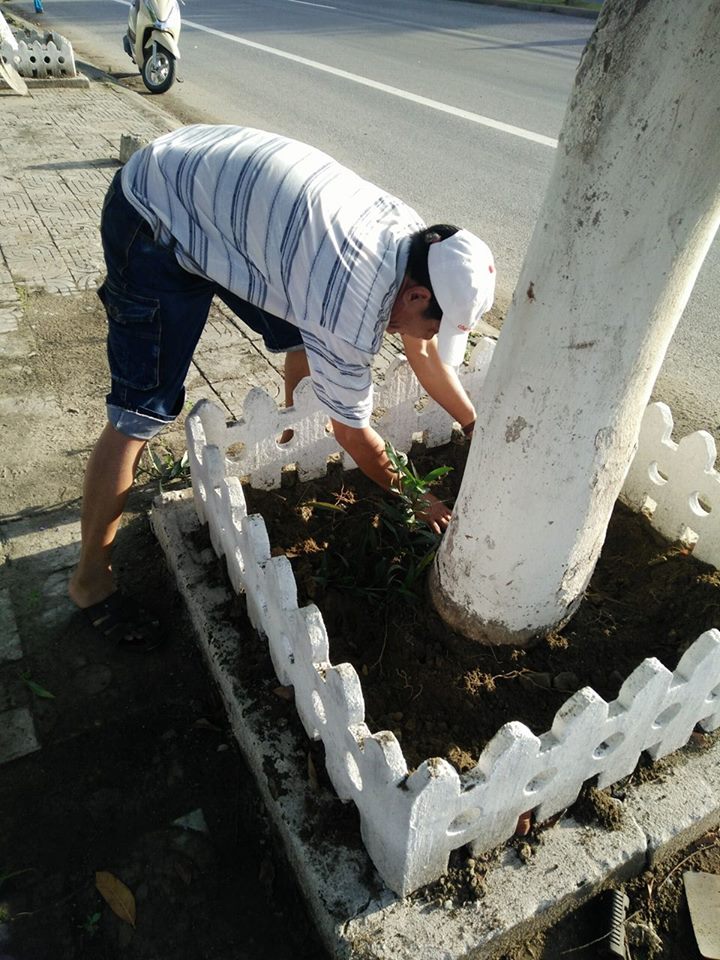 Hình nhỏ