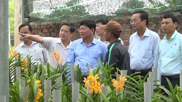 Hình nhỏ