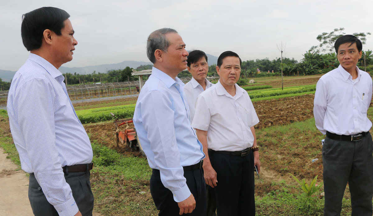 Hình nhỏ