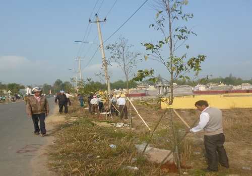 Hình nhỏ