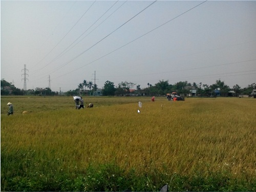 Hình nhỏ
