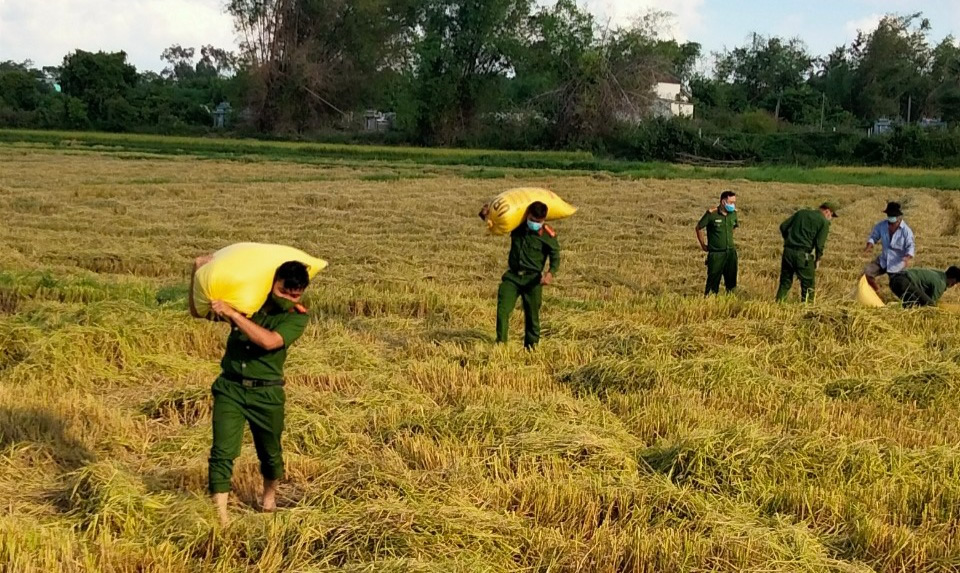 Hình nhỏ