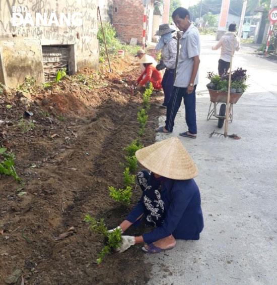 Hình nhỏ