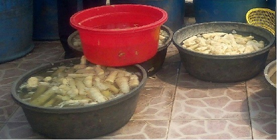 Hình nhỏ