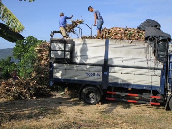 Hình nhỏ