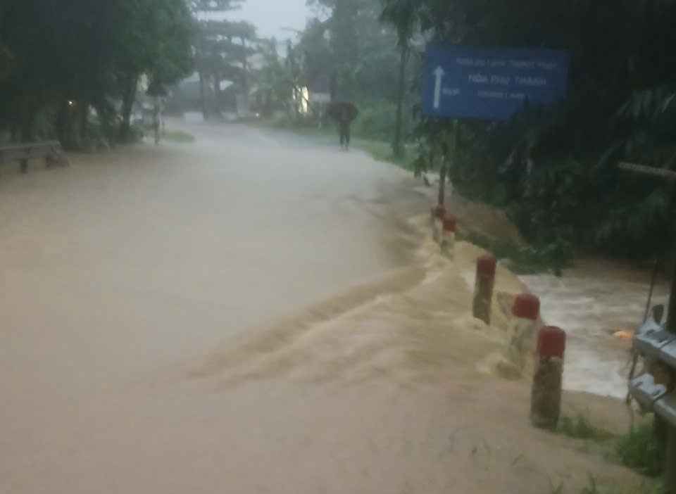 Hình nhỏ