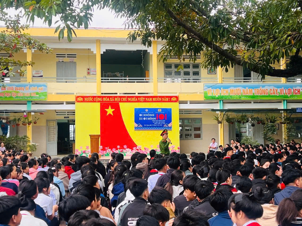 Hình nhỏ