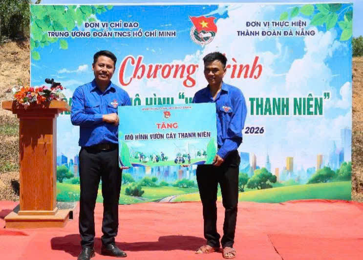 Hình nhỏ
