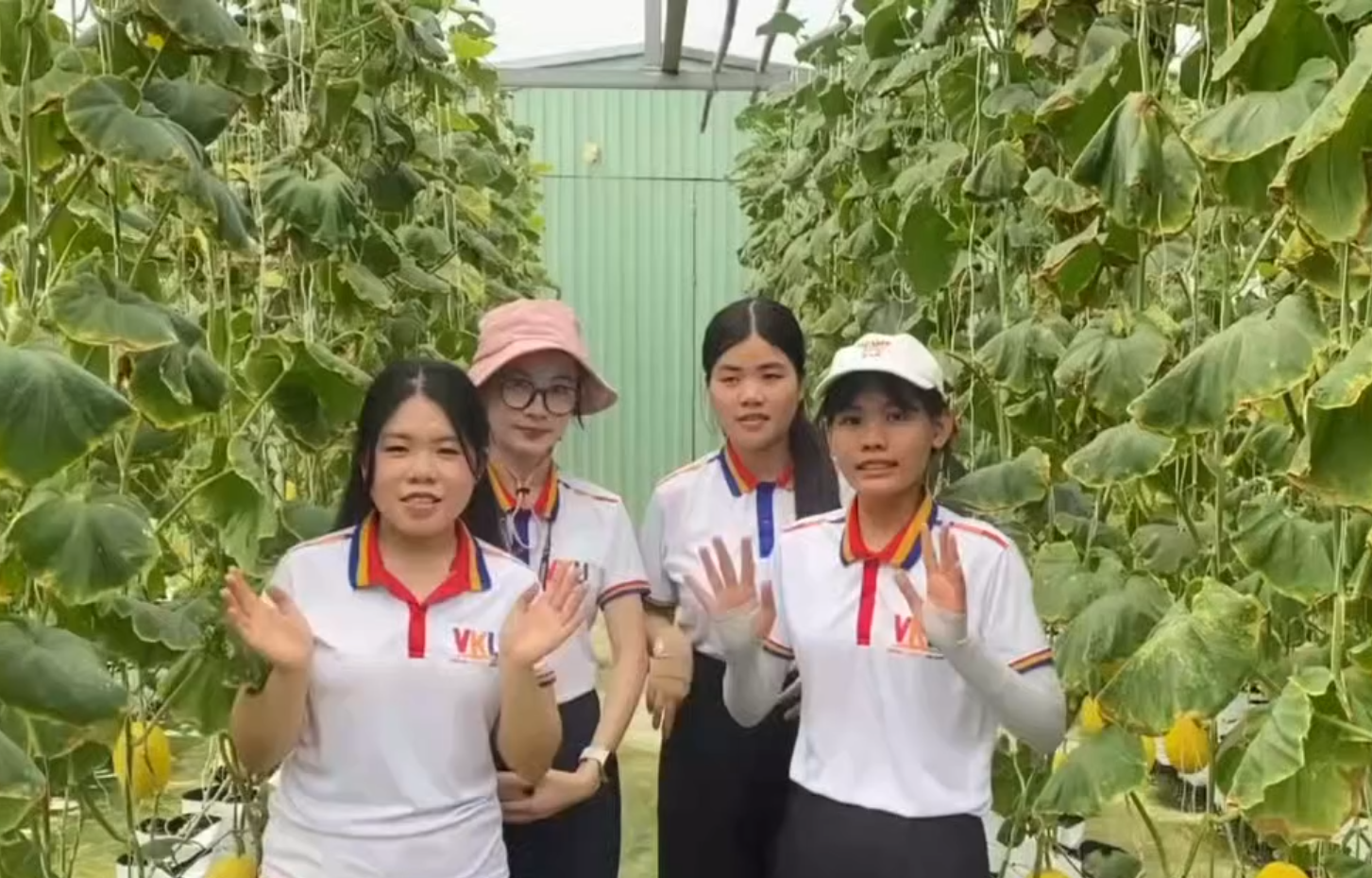 🌿 ĐI MỘT NGÀY – MANG VỀ CẢ MỘT VÙNG KÝ ỨC