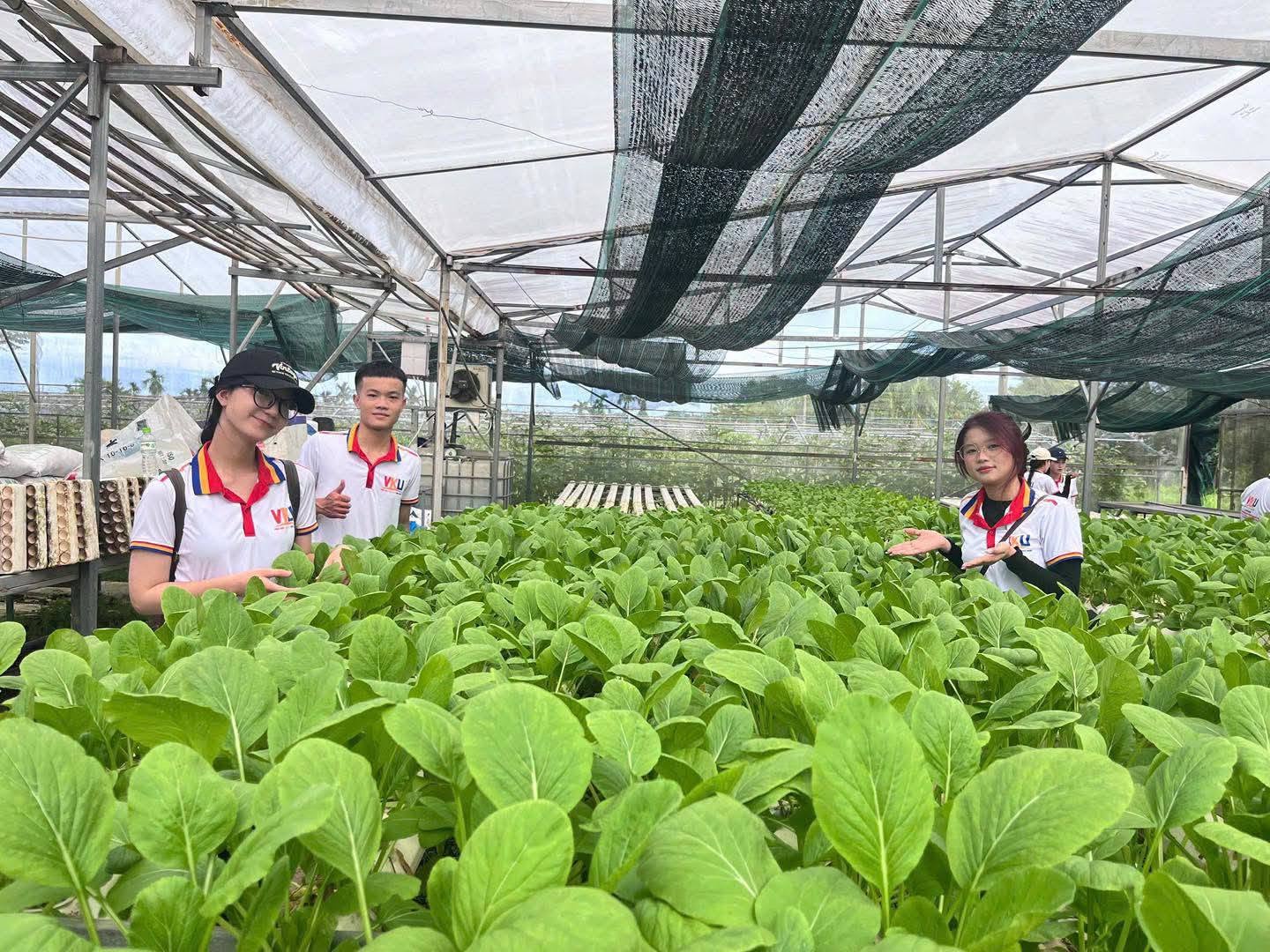 🌾 NÔNG SẢN HÒA VANG ĐÃ SẴN SÀNG CHO PHIÊN CHỢ QUÊ! 🌿